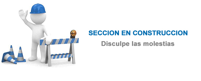 Seccin en Construccin